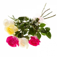 Букет из пяти разноцветных роз