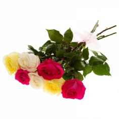 Букет из семи разноцветных роз